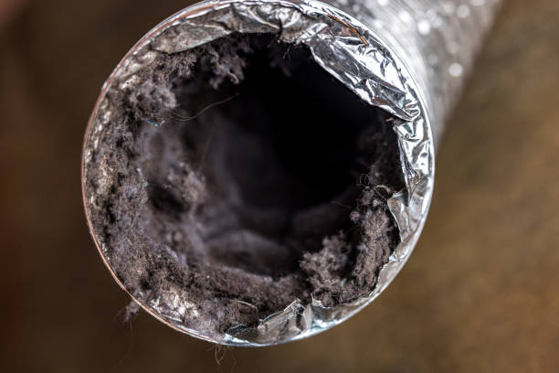 Best Commercial HVAC Duct Cleaning  in Susitna North, AK