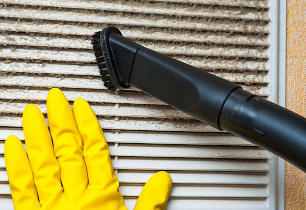 Best Affordable Air Duct Cleaning  in Susitna North, AK